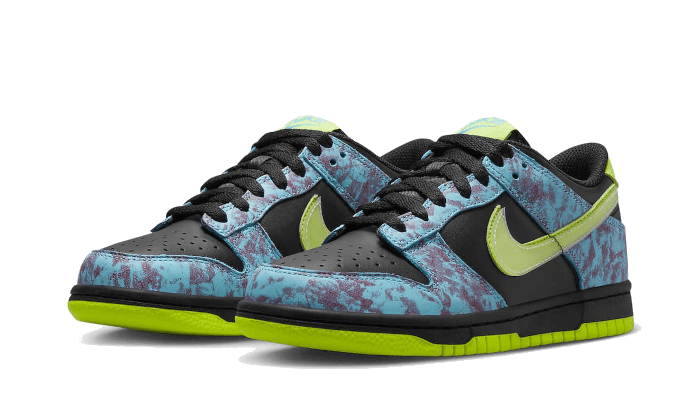 Dunk Low Acid Wash - THE LIMITED CLUB