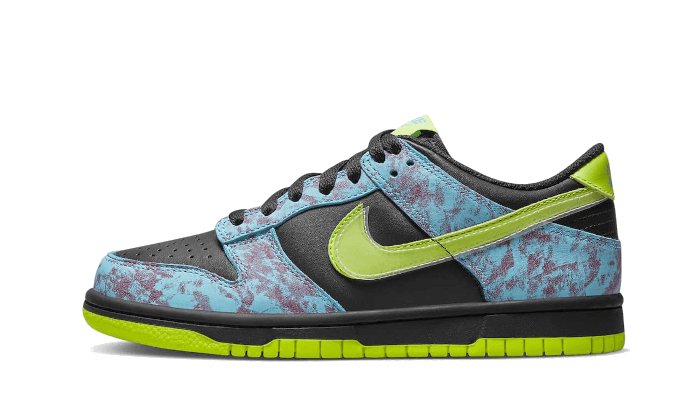 Dunk Low Acid Wash - THE LIMITED CLUB