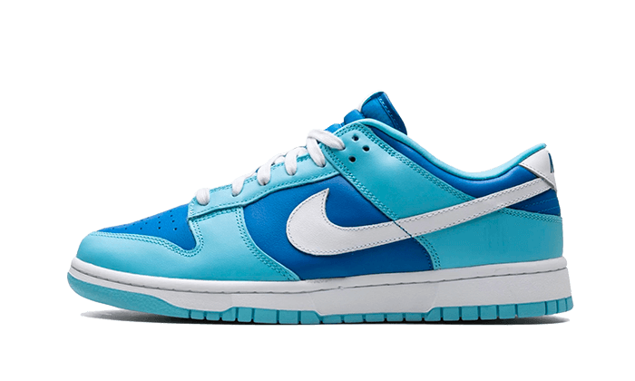 Dunk Low Argon - THE LIMITED CLUB